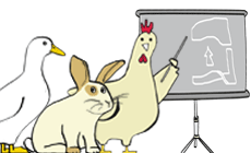 Omlet Cartoon