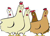 Omlet Cartoon