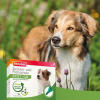 Beaphar tick & flea protection spot-on 3x1ml for small dogs (up to 15kg)
