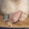 Close up of Omlet cat toy jellyfish with white cat
