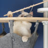 White cat playing with fish toy in the Omlet Freestyle floor to ceiling cat tree hammock