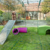 Flopsy enjoys looking out across the garden from his Corner Platform, while Thumper sleeps in the shaded Play Tunnel below.