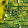 Detail of the Eglu Go up chicken coop with clear run cover