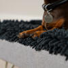 Teckel in a grey microfibre topper for the Topology washable dog bed