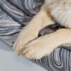 Paw detail on an Omlet nest bed in the contour grey pattern