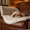 Terrier sleeping on cosy sheepskin blanket draped on tan leather sofa
