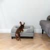 Dachshund jumping on Omlet Topology dog bed with grey bolster and black rail feet