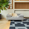 Dog sleeping on Omlet Topology dog bed with grey bolster topper and white hairpin feet