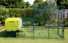 The Eglu Cube with run attached to a walk in chicken run using a connection kit