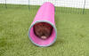 Rabbit in Zippi play tunnel