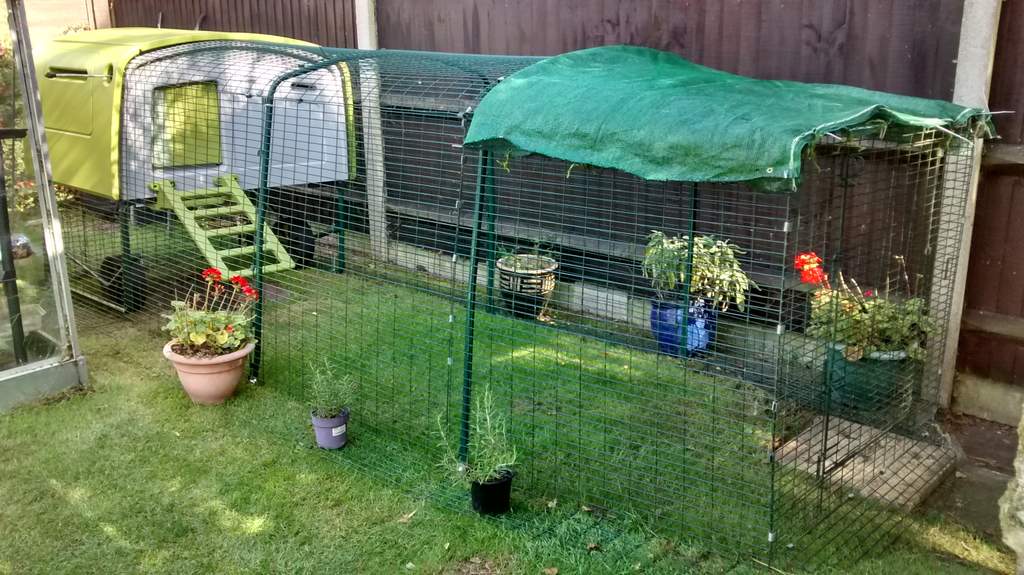 Eglu Cube Mk1 1m Run Extension Chicken Runs and Chicken Netting