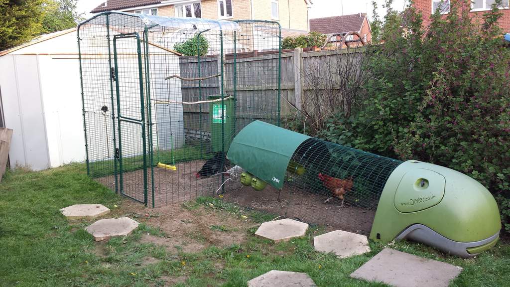 Outdoor Pet Run Eglu Classic with Run Connection Kit Eglu Spares