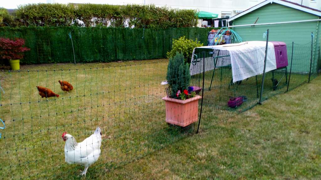 Eglu Run Handles Rabbit Accessories Rabbit Hutches Rabbit Runs