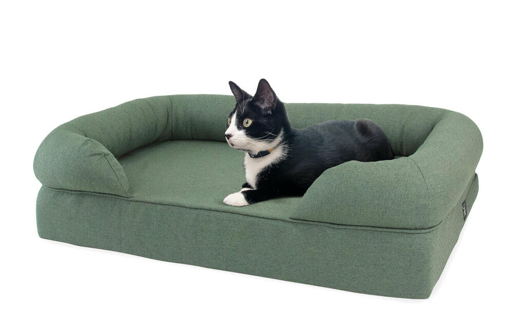 memory foam cat beds