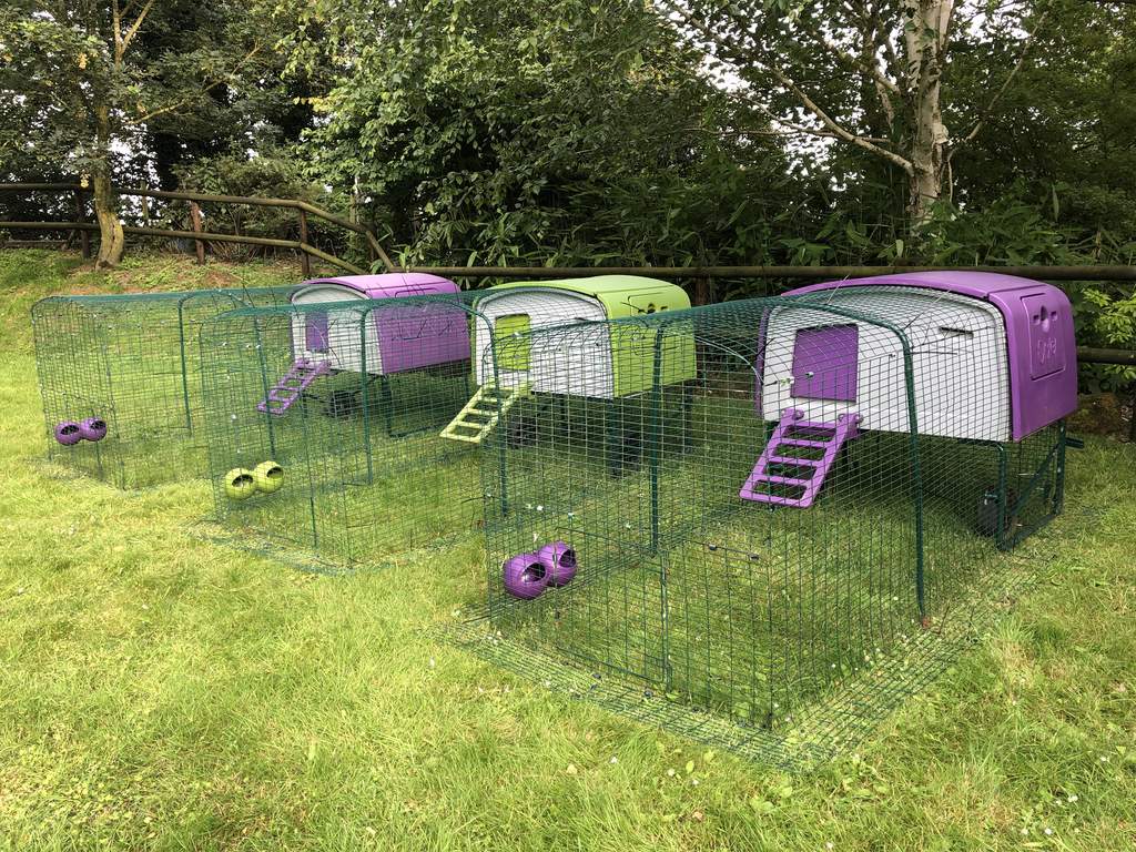 Eglu Cube Mk1 1m Run Extension Chicken Runs And Chicken Netting