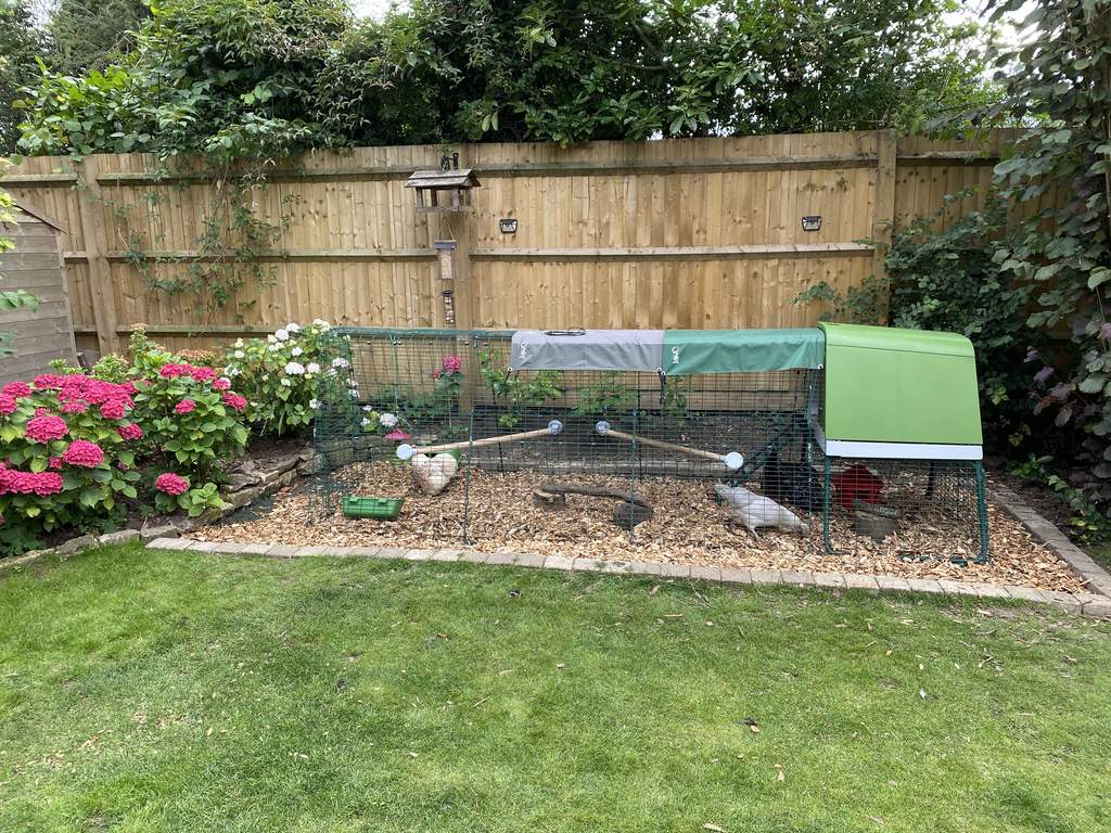 Eglu Cube Mk2 1m Run Extension Chicken Runs and Chicken Netting