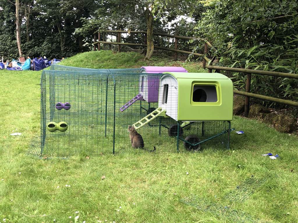 Eglu Cube Mk1 1m Run Extension Chicken Runs and Chicken Netting