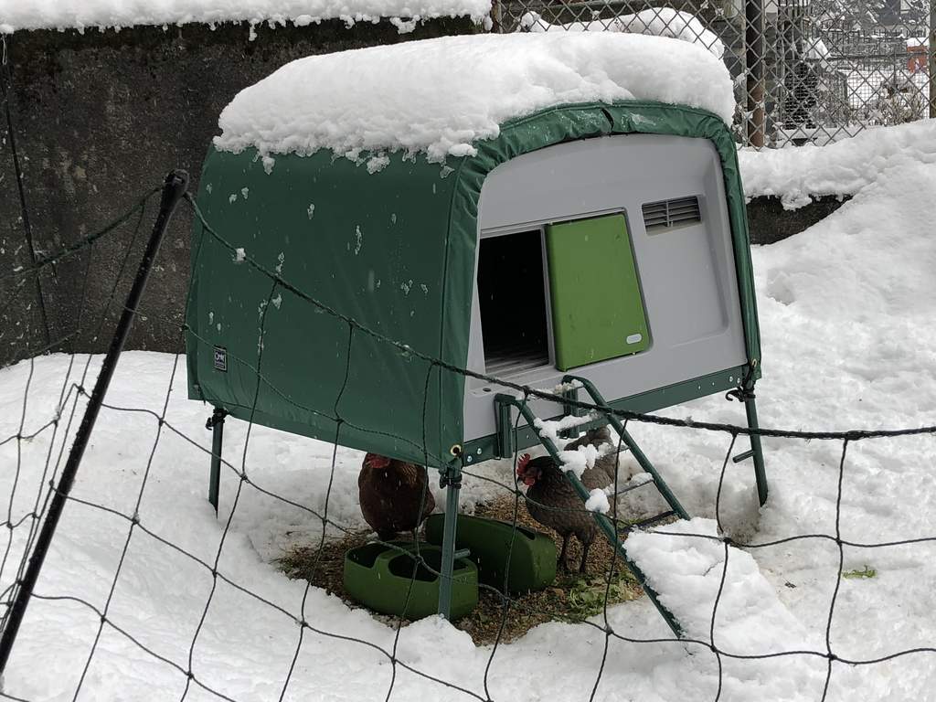 Extreme Temperature Jacket For Eglu Cube Mk2 Green Eglu Coop