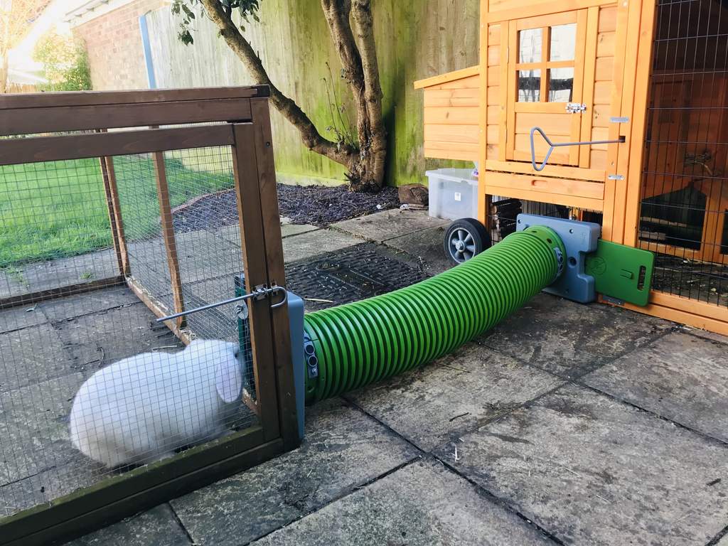 Zippi Tunnel Single with Hutch to Run Connection Kit Zippi Rabbit