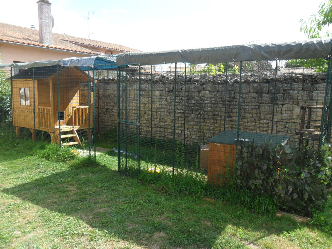 Outdoor Cat Run Outdoor Cat Runs, Indoor Cat Houses, Luxury Cat Beds