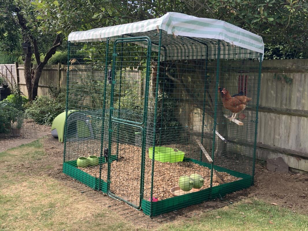 Walk in Chicken Run Large Outdoor Chicken Enclosure