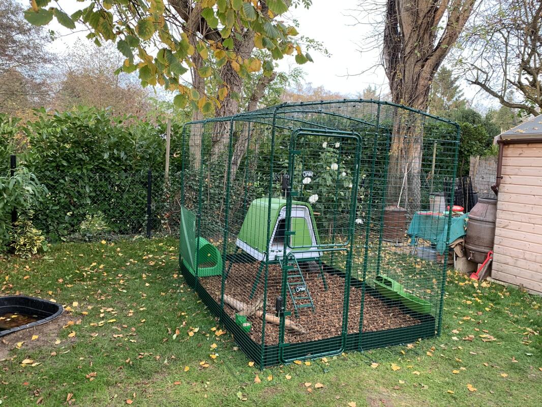 Walk in Chicken Run Large Outdoor Chicken Enclosure