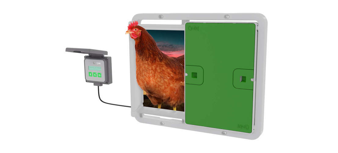 Secure your girls in their Eglu Cube, even when you’re not at home, with the Omlet Automatic Chicken Coop Door.