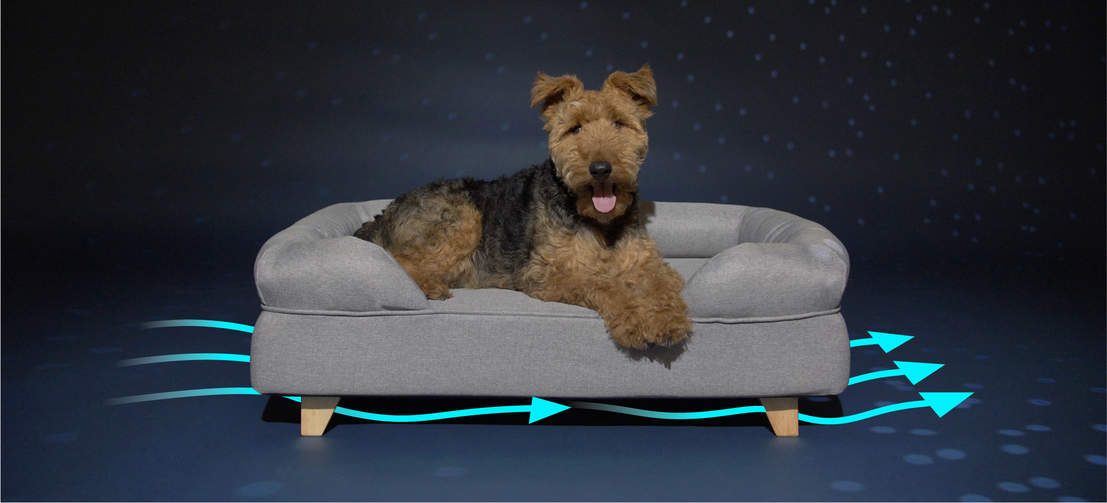Dog Laying on Omlet Memory Foam Dog Bolster Bed in Grey with Square Wooden Feet Dog Laying on Omlet Memory Foam Dog Bolster Bed in Grey with Square Wooden Feet