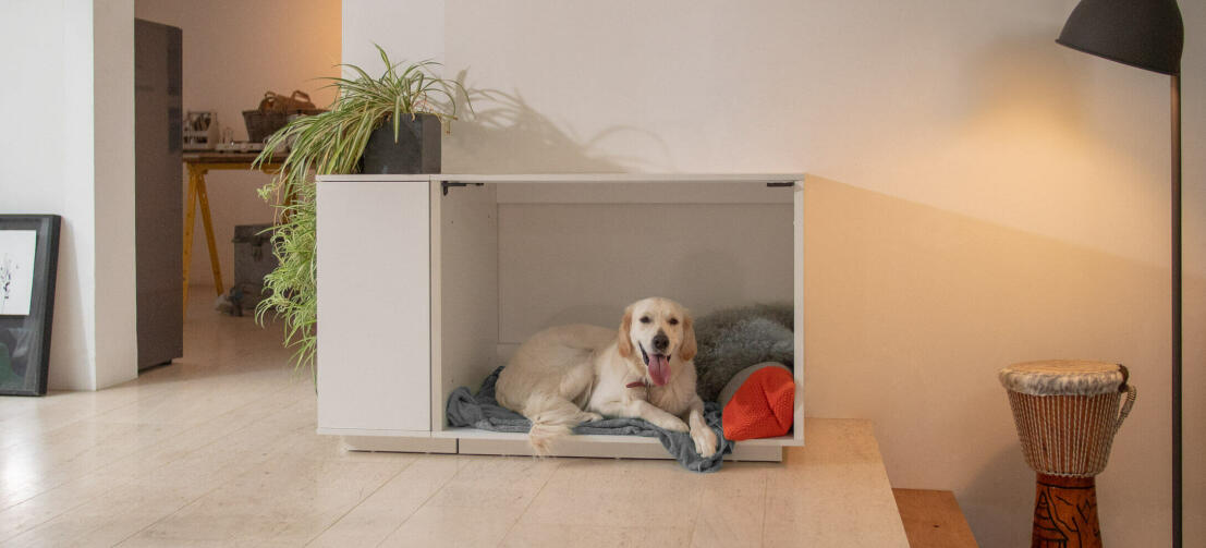 Luxury Dog Crate Comfy Bed Omlet
