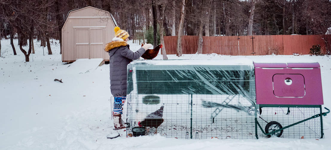 The Eglu Cube is great all year around, offering twin wall insulation to keep chickens cool in summer and warm in winter.