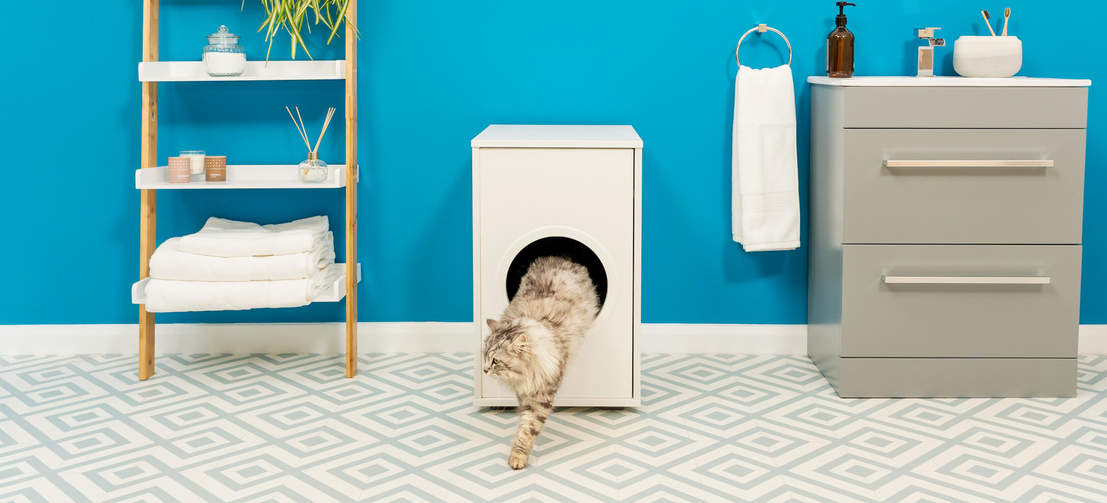 Cat climbing out of Omlet Maya cat litter box furniture