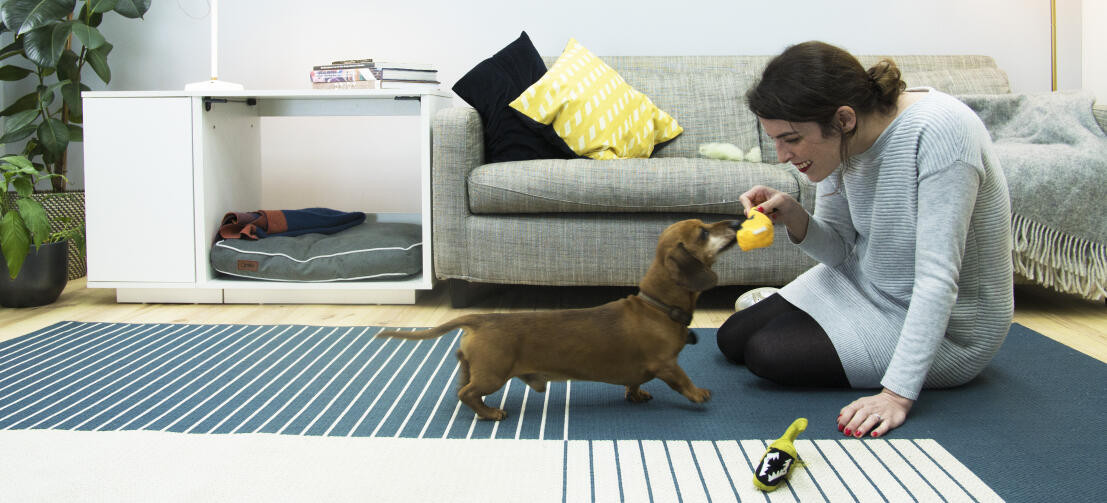 Giving your dog its own space, like the Omlet Fido Nook , has been shown to improve its confidence and general behaviour.