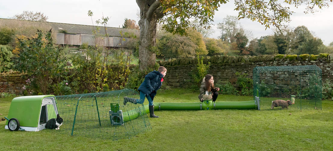 Zippi Rabbit Runs are great for kids to spend time playing and bonding with their pets all year round.
