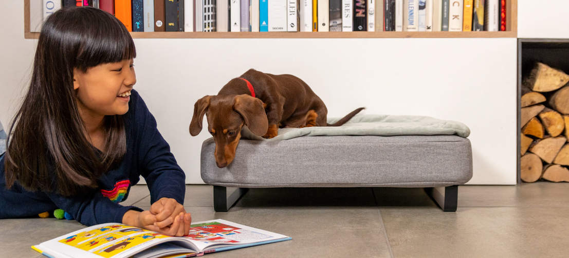 The feet come in a range of designs, like the ski style metal rail in black seen on the small Topology dog bed here.