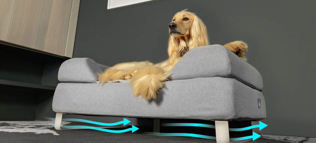 Raising the bed over the floor with customised feet improves airflow and hygiene, making it a perfect solution for a happier and healthier dog.