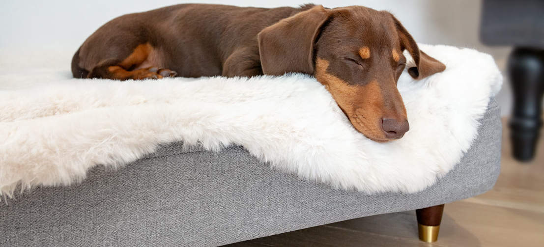 Choose from a range of feet to elevate your dog’s bed for an extra stylish touch that will perfectly compliment the rest of your furniture.