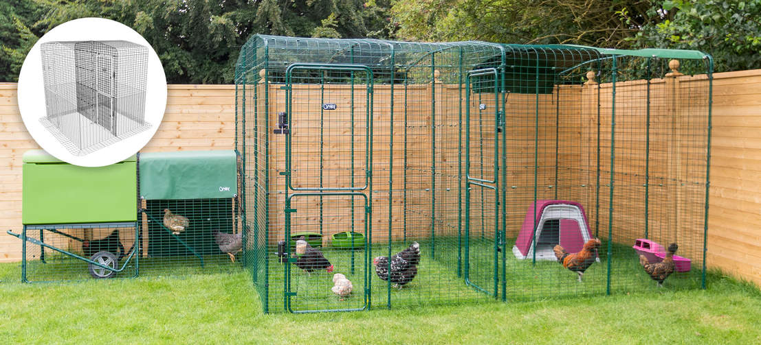 A walk in run in a garden with chickens inside and a walk in run partition