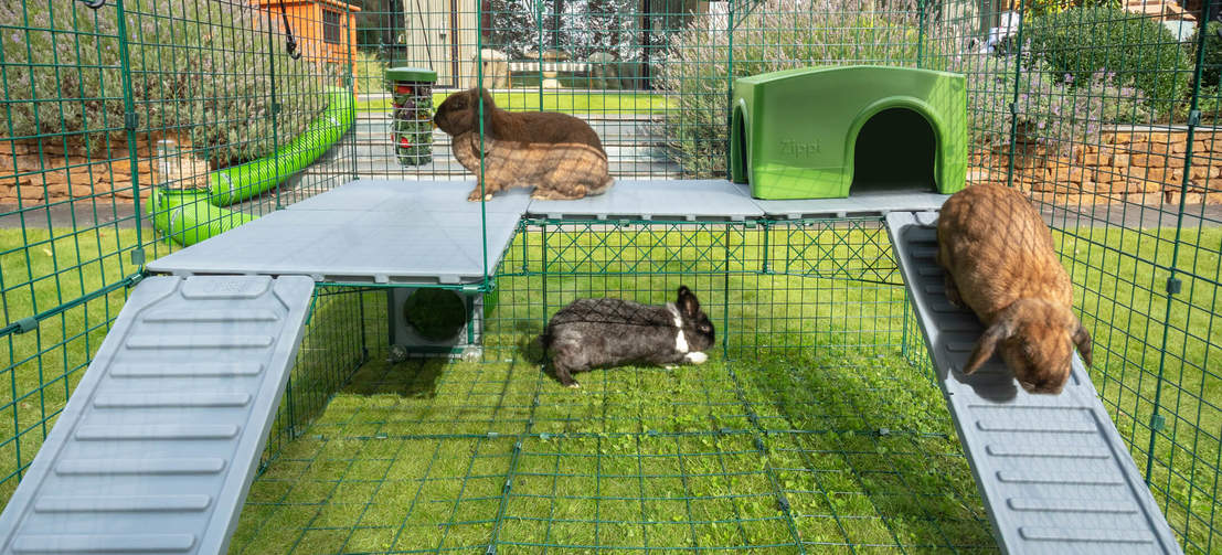 Give your rabbits even more space to play with Zippi Platforms, designed to securely fit to your double height Zippi Run.