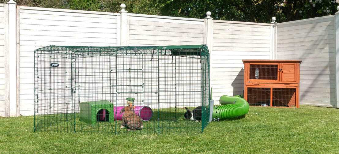 Hands-Free Rabbit Transfers! Connect your hutch to a Zippi Run and give your pet bunnies 24/7 access to a large, secure play space.
