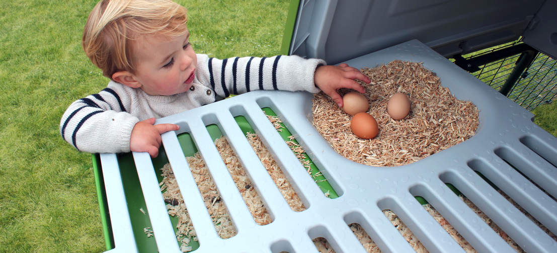 Your chickens will love the smooth roosting bars and integrated nest box, and collecting fresh eggs in the morning has never been easier.
