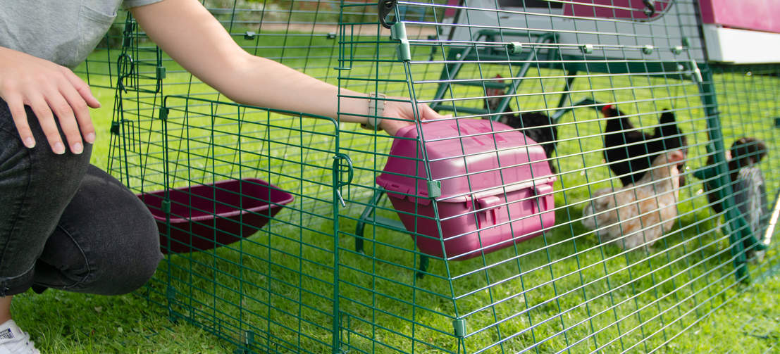 Stable-style run doors open independently to allow you to refill food and water safely, or let your chickens out to free range.