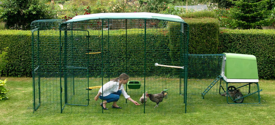 The secure run can be extended at any time, or you can easily connect it to a larger Walk In Run to create the ultimate chicken area.