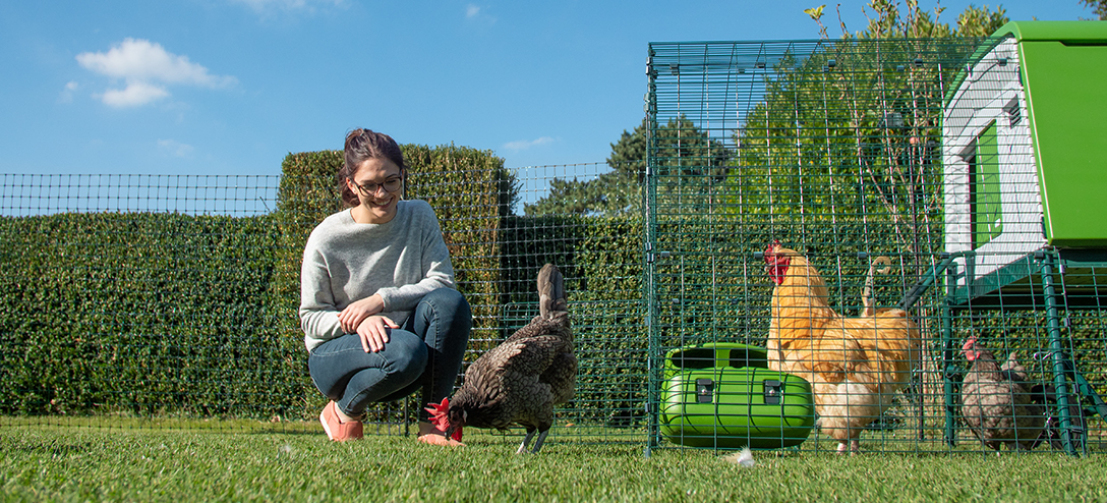 A woman in her back garden with chickens inside a run with a large green Cube chicken coop