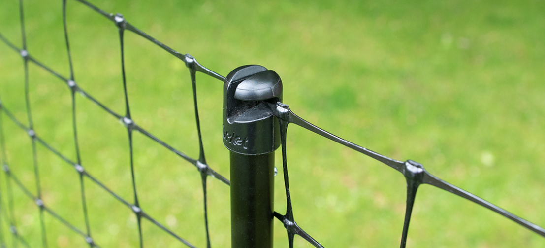 The top of a post of chicken fencing in a garden