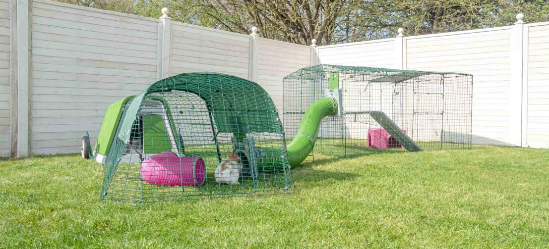 Garden with an eglu go hutch, outdoor walk in run and zippy tunnels for rabbits