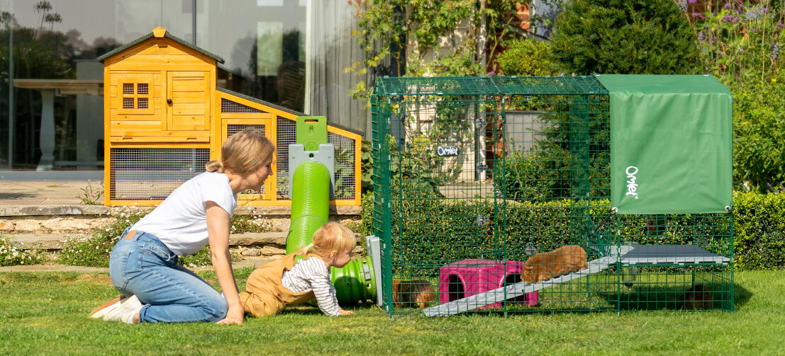 A family playing with guinea pigs next to the Zippi run.