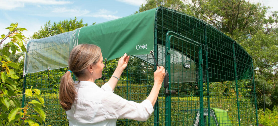 Lady attaching Omlet shade cover to Omlet walk in chicken run