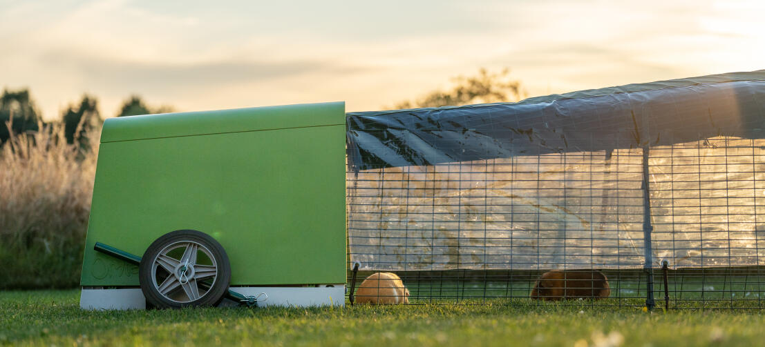 Eglu Go guinea pig hutch and run