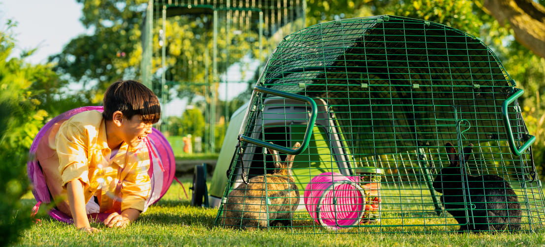 A boy popping out of a play tunnel next to his Eglu Go rabbit hutch in the garden.