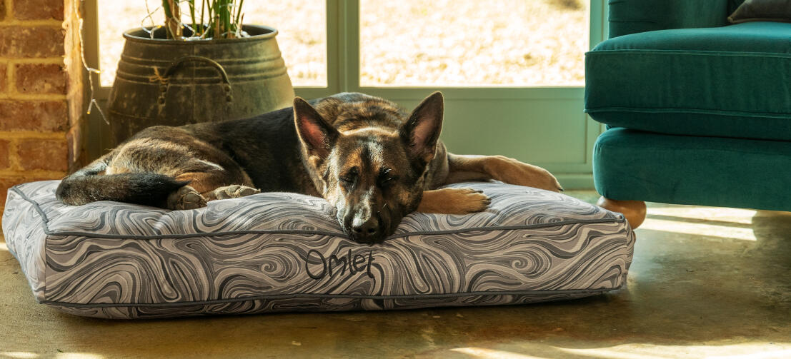 German shepherd lying on an easy to clean Omlet cushion dog bed